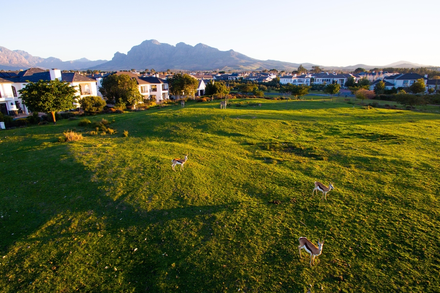 4 Bedroom Property for Sale in Val De Vie Estate Western Cape